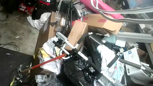 Snapshot of tongueispowerr6d9 chatting on January 16, 5:42 am tongueispowerr6d9 online show from January 16, 5:42 am