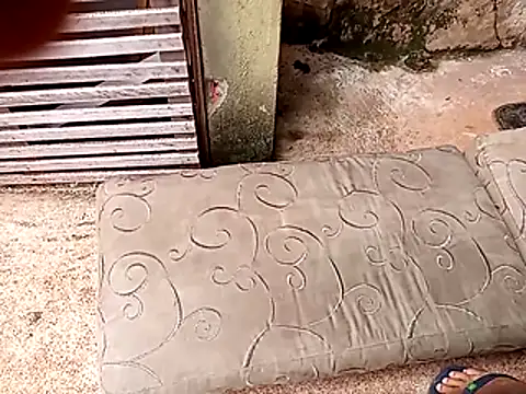 Snapshot of wel9238 chatting on February 25, 4:38 pm wel9238 online show from February 25, 4:38 pm