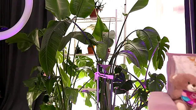 EmilyRaymont online show from September 21, 5:20 am