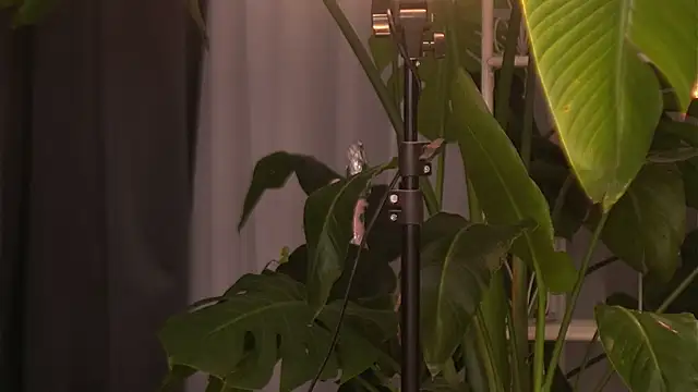 EmilyRaymont online show from October 6, 4:10 am