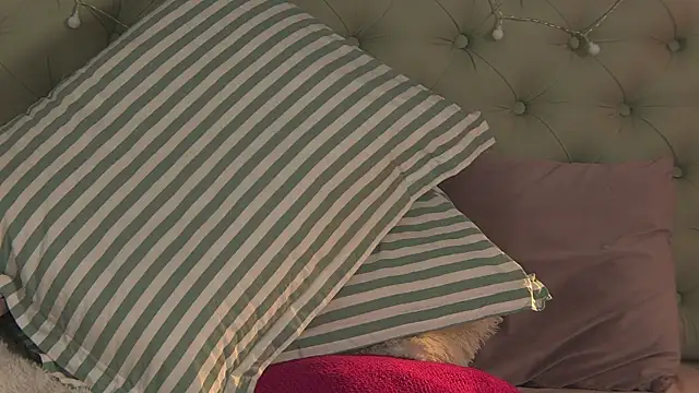 AlicePirs online show from February 6, 11:32 am