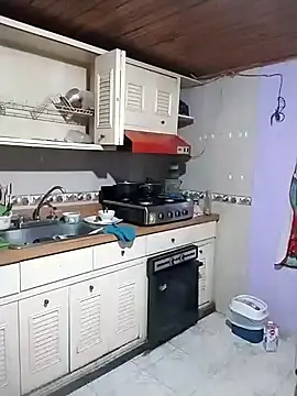 Snapshot of Camille_rose_ chatting on January 30, 11:45 pm Camille rose online show from January 30, 11:45 pm