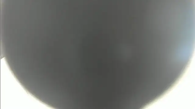 linasantoss online show from January 26, 5:13 pm