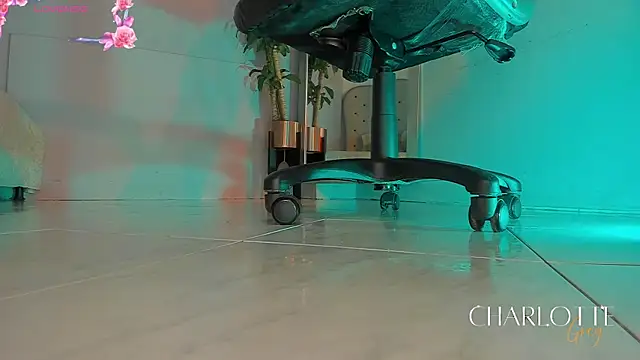 charlotte  grey online show from December 1, 7:52 pm