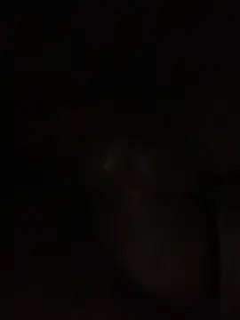 ThickD619 online show from December 11, 12:23 pm