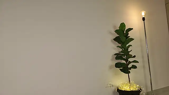 lady ni  online show from December 17, 12:22 pm