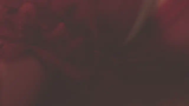 Snapshot of oxiris_1 chatting on January 16, 1:48 am oxiris 1 online show from January 16, 1:48 am