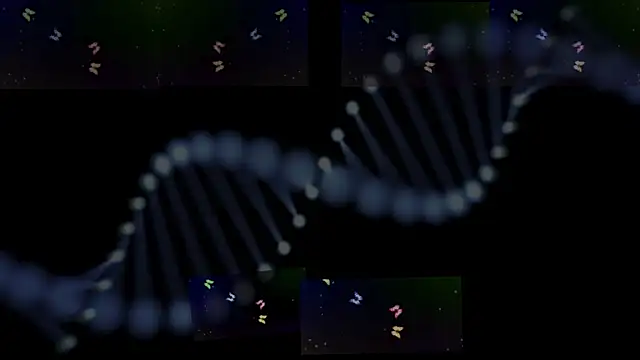 OwenBluee online show from January 29, 9:33 am