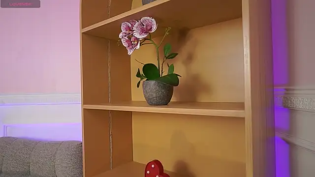 Anybuny online show from November 7, 11:54 am