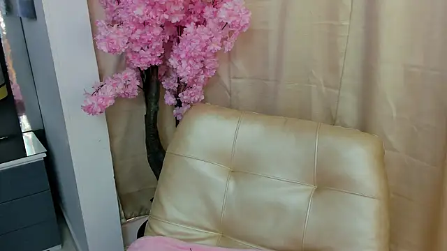  cat 18 online show from January 16, 1:47 pm