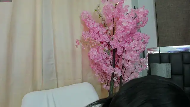  cat 18 online show from March 21, 5:12 pm