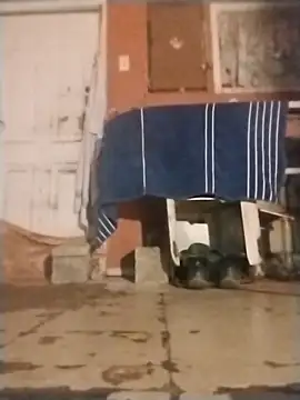 brownfeet online show from January 18, 4:59 am