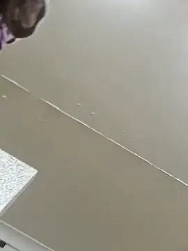 Off the Lesh online show from March 2, 3:52 pm