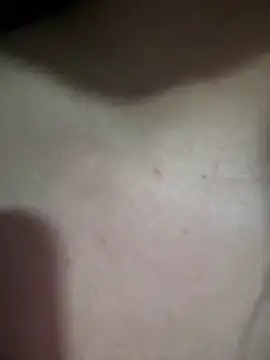 carolina  star online show from February 20, 3:23 am