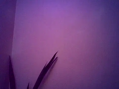 Malandralle online show from November 25, 5:29 am