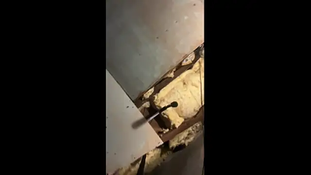 Snapshot of Manwhorxxlcock chatting on March 3, 10:32 am Manwhorxxlcock online show from March 3, 10:32 am