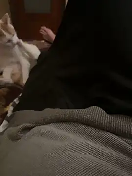 bigboy30X online show from October 31, 4:19 pm