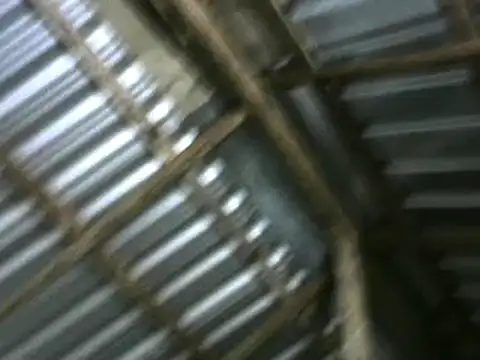 michel sc online show from October 5, 10:24 am