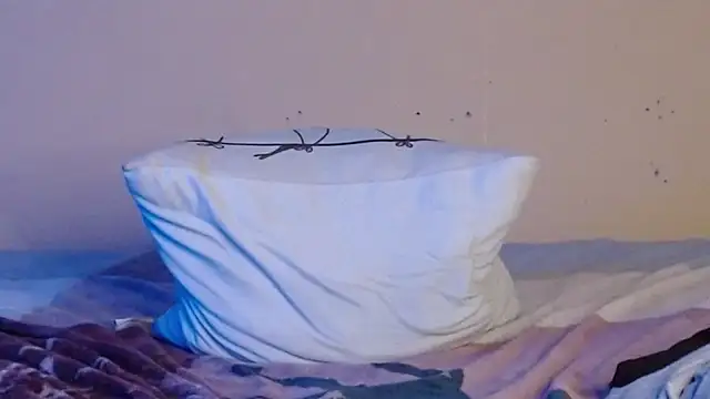 daiki sx online show from January 8, 6:20 am