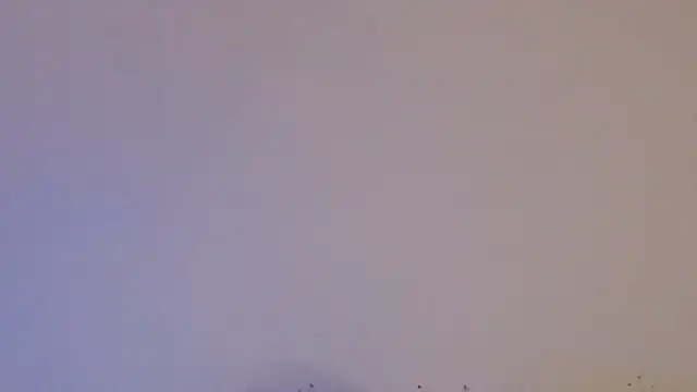 daiki sx online show from January 24, 1:47 pm