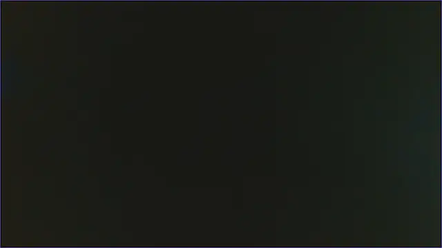 Geisha Seniers online show from February 11, 6:44 pm