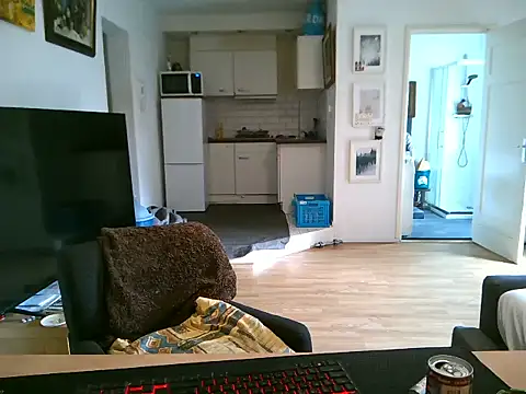 mihaimichael online show from May 11, 11:49 am