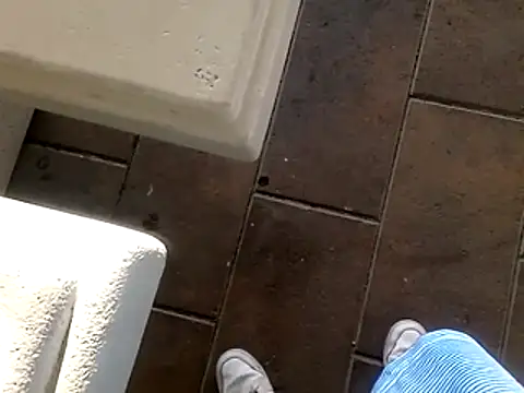 freakzmexx online show from November 28, 2:47 am