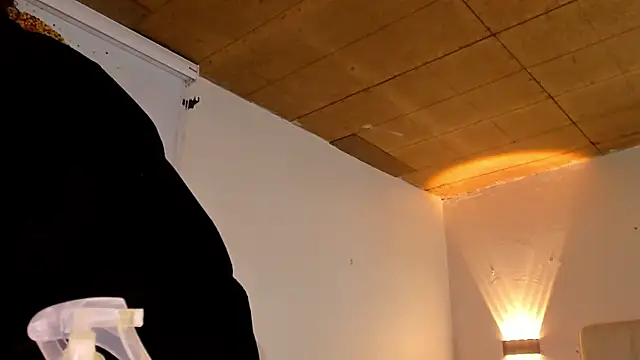 loly marce online show from March 22, 2:37 am