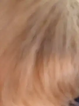 Unforgettable ket online show from January 15, 4:54 pm