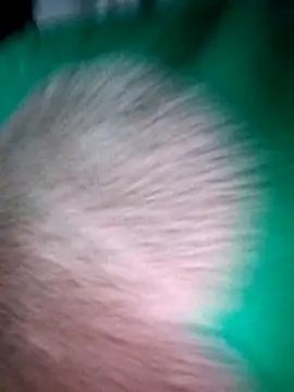 Haralushiaaa online show from December 4, 11:57 pm