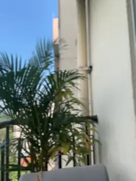 Pretty Isadora online show from February 4, 8:03 pm