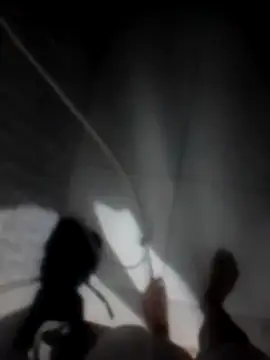 betinhodelas online show from November 30, 5:11 am