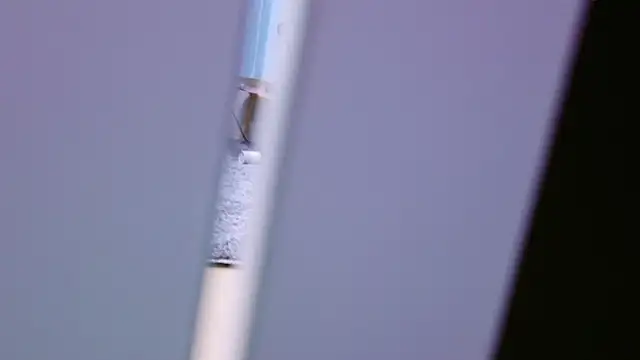 HaruruHappy online show from January 18, 1:29 pm