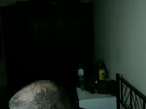 100Tauros online show from April 17, 11:46 am