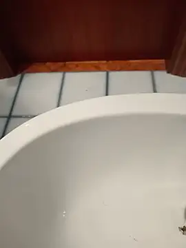 Durovoglioso2 online show from March 15, 7:14 am