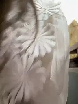 Efangfang online show from February 16, 8:43 am