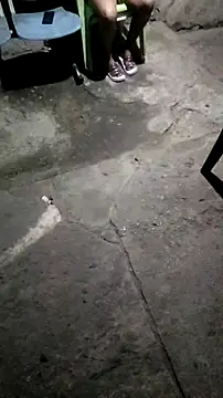 mendelicius online show from November 11, 1:05 am