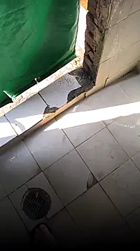 mendelicius online show from February 15, 2:25 pm