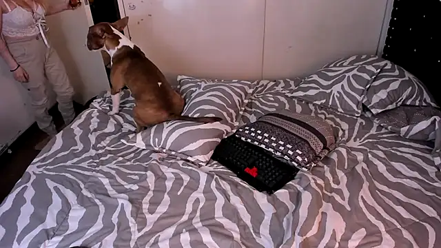 valerie luxe  online show from January 15, 4:39 am