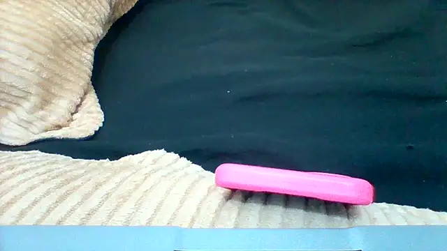 Snapshot of Pritdoly chatting on March 27, 8:26 am Pritdoly online show from March 27, 8:26 am