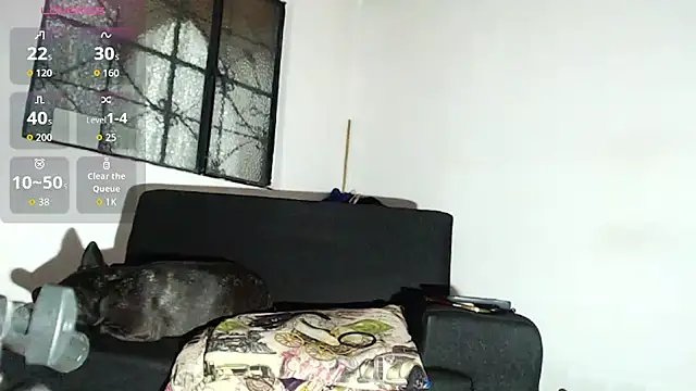 willian m777 online show from February 6, 4:50 am