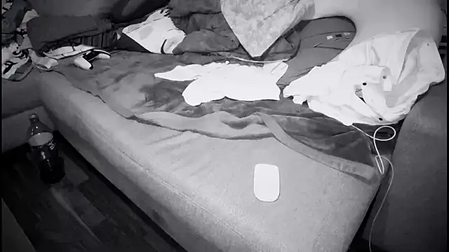 Snapshot of swissMen_DE chatting on February 13, 3:29 am swissMen DE online show from February 13, 3:29 am