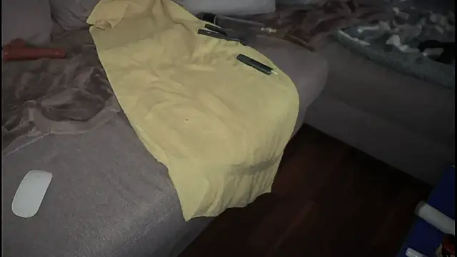 Snapshot of swissMen_DE chatting on February 19, 8:12 am swissMen DE online show from February 19, 8:12 am