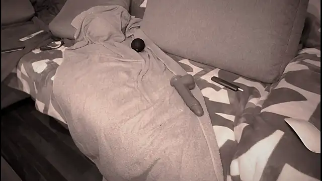 Snapshot of swissMen_DE chatting on March 2, 5:54 am swissMen DE online show from March 2, 5:54 am