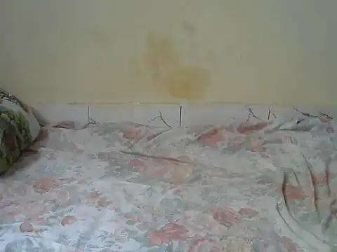 Snapshot of Zenath_ chatting on February 27, 8:58 am Zenath online show from February 27, 8:58 am