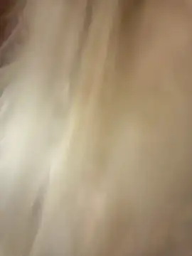 -RIVIERA- online show from February 11, 4:35 pm