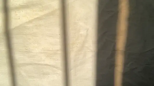 Snapshot of beforeyou69 chatting on November 6, 8:04 am beforeyou69 online show from November 6, 8:04 am