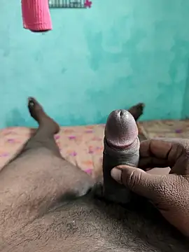 RoundHandler3 online show from January 12, 8:08 am