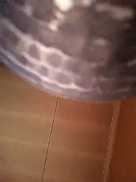 SashaahXXX online show from February 12, 3:40 pm