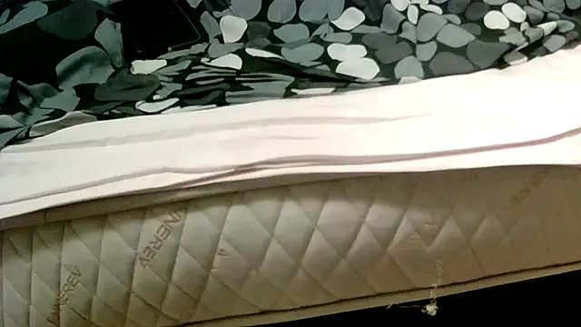 Snapshot of robertone80 chatting on March 2, 2:30 am robertone80 online show from March 2, 2:30 am